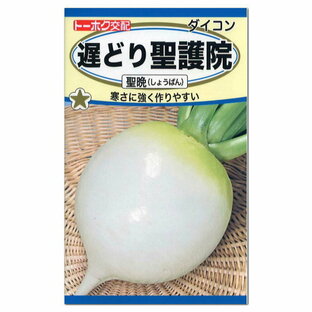 トーホク 遅どり聖護院 聖晩 しょうばん 大根 種 秋まき 家庭菜園 野菜栽培 しょうごいん だいこん 種 種子 ダイコンのタネ たねの画像