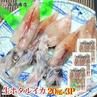 ほたるいか 蛍いか 生ホタルイカ 生食用 60尾(20尾ｘ3Ｐ) 珍味 刺身 食品 海鮮 ギフト クーポン 父の日の画像