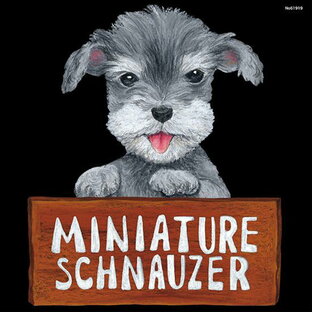 デコシール 犬 ミニチュアシュナウザー サイズ:ビッグ W600×H600 (61919) 販促用品 看板・ボード用デコレーションシール ペットショップの画像