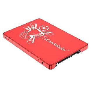 Somnambulist SSD 60GB 960GB 2TB high-Speed Data Transmission SSD Mass Storage Solid State Drive (Red Trophy-960GB)の画像