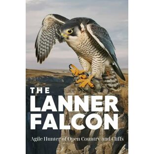 The Lanner Falcon: Agile Hunter of Open Country and Cliffsの画像
