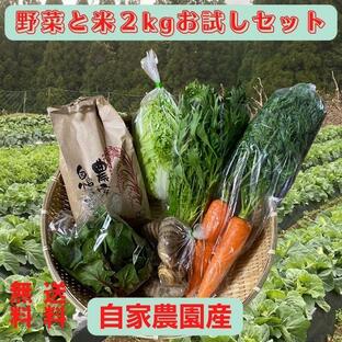 野菜＋米2kgお試しセット野菜 米 有機栽培 無農薬 熊本県産の画像