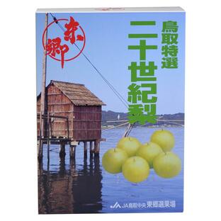 梨 フルーツ お取り寄せ ご当地 JA鳥取中央/東郷梨選果場 特撰二十世紀梨 (2kg/3Lサイズ 6玉) 山陰特産品 Pay-TG-toku20-2K3Lの画像