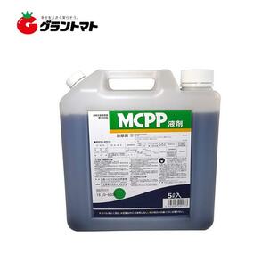 MCPP液剤 5L スギナやクローバーに効く芝用除草剤 丸和バイオケミカル【取寄商品】の画像