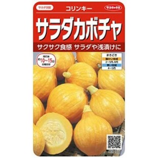 サカタのタネ 実咲野菜1103 サラダカボチャ コリンキーの画像