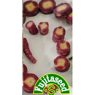 【藤田種子】紫ニンジン F1 パープルブライト野菜のタネの画像