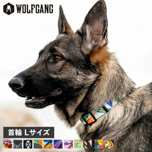 WOLFGANG COLLAR ウルフギャング 首輪 大型犬 Lサイズ マルチカラーの画像