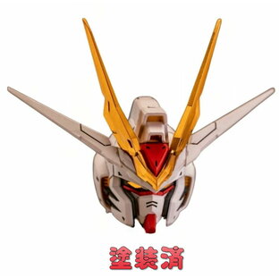 【TORNADO HOBBY】1/100 MG ストライクフリーダムガンダム 用 ヘッドパーツ 塗装済 3Dプリント品 改造 未組立の画像