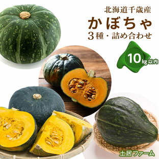 【ふるさと納税】2024年秋発送 かぼちゃ3種 詰め合わせ 計10kg《土居ファーム》 野菜 かぼちゃ 九重栗 夢味 ロロン 坊ちゃん・栗坊 南瓜 カボチャ 北海道ふるさと納税 千歳市 ふるさと納税【北海道千歳市】ギフト ふるさと納税の画像