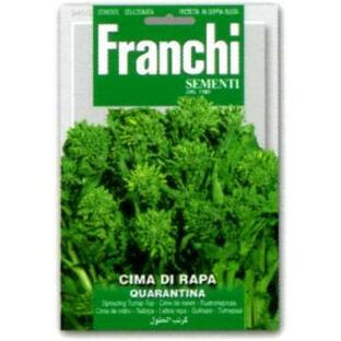 【イタリアの野菜の種】FRANCHI社 チーマディラーパ 41/2《固定種》の画像