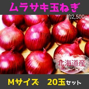 紫玉ねぎ 赤玉ねぎ 北海道産Mサイズ 約2.5kg 約20玉 2024年度商品 先行予約受付開始の画像