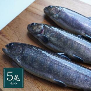 イワナ 岩魚 冷凍 川魚 養殖 骨酒 塩焼き 誕生日 ギフト 加熱用 5尾 串なしタイプの画像