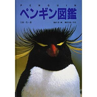 ペンギン図鑑の画像