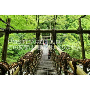 【日本のポストカードAIR】徳島県 祖谷かずら橋 吊り橋のはがきハガキ葉書 撮影/YOSHIO IWASAWAの画像
