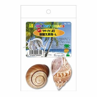 [三晃商会]オカヤドカリの宿替え貝殻（Ｌ）の画像