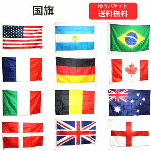 国旗 フラッグ 12カ国 アメリカ フランス イギリス カナダ ブラジル イタリア イングランドなど 訳ありの画像