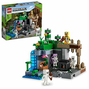 レゴ(LEGO) マインクラフト スケルトンの洞窟 21189 おもちゃ ブロック プレゼント テレビゲーム 男の子 女の子 8歳以上の画像