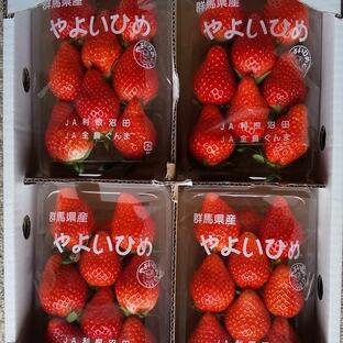 販売期間2024/06/30まで 果物 いちご じゅわっと甘い(^^)やよいひめ中身おまかせ４パック 産地直送の画像