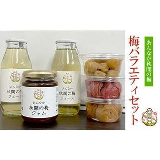 ふるさと納税 果汁飲料 セット 群馬県 安中市 梅バラエティセット ANAN004の画像