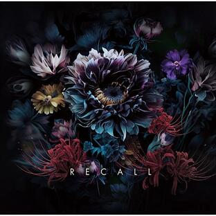 インディペンデントレーベル CD RENAME RECALLの画像