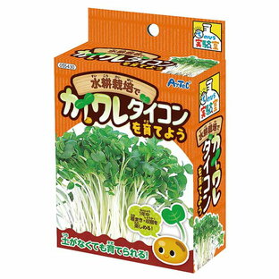 水耕栽培でカイワレダイコンを育てよう 1個入 / 貝割れ かいわれ カイワレ大根 観察 栽培セット 水耕栽培 実験 家庭菜園 野菜 育成 宿題 自由研究 夏休み 冬休み 観察セット 観察キット 室内 園芸 暗室 アーテック artec 学校 教材 【宅配便】の画像