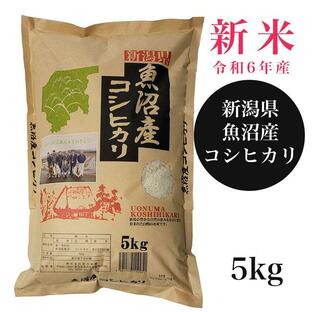 [新米（令和6年産）] ※予約受付中 魚沼産コシヒカリ 5kg - 田中米穀 ※10月上旬〜中旬の入荷予定 [令和6年産/新潟県産]の画像