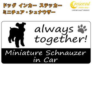 ミニチュア・シュナウザー miniature schnauzer in Car ステッカー プリントタイプ dog in car ドッグ インカー 犬 シール デカールの画像