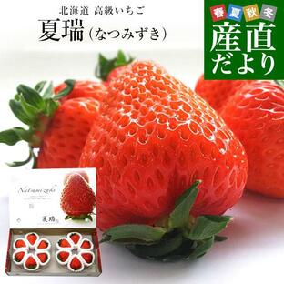 北海道より産地直送 高級いちご 夏瑞（なつみずき）約180g（6粒から7粒）×2パック 化粧箱入り イチゴ 苺 夏イチゴの画像