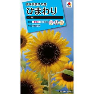 花種 NL150  ひまわり 太陽 小袋 [FHM116]【花の種】【タキイのタネ】【ガーデニング】の画像
