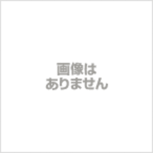 SP武川 タケガワ 04-02-2308 Zスタイルマフラー(ノーマル-ルック/タイプ2) モンキー (FI除く)の画像