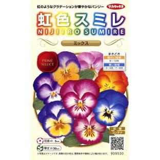 サカタのタネ 実咲花9530 虹色スミレ ミックスの画像