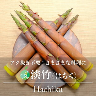 淡竹 たけのこ 約600g～ 天然物 長野県産 山菜 はちく ハチク タケノコ 筍 土佐煮 たけのこご飯の画像