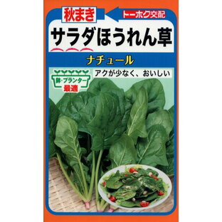 トーホク ホウレンソウの種 F1 秋まきサラダほうれん草 ナチュール 25ml 品番4732 種子 たねの画像