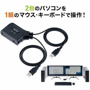 【楽天1位受賞】パソコン切替器 2台 USB接続 Windows/Mac USBキーボード USBマウス ホットキー切替 キーボードエミュレーション機能 テレワーク EZ4-SW032の画像
