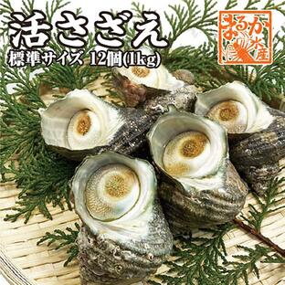 天然活さざえ 中サイズ １ｋｇ １2個 70ｇ〜110ｇ [さざえ]の画像