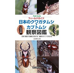 日本のクワガタムシ・カブトムシ観察図鑑: 日本に棲息する種類と見分け方、観察のポイントがわかる (フィールドガイド)の画像