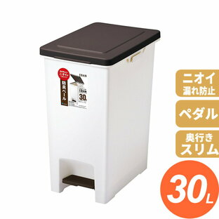 ゴミ箱 ダストボックス 約幅25.6cm 30L ブラウン 薄型 フタ付 防臭剤配合 袋止め付き ペダルペールの画像