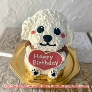 送料無料！白いトイプードルの立体ケーキ 5号サイズ トイプードル 犬 誕生日 記念日 大人気 動物 3Dケーキ 立体ケーキ センイルケーキ ドンムルケーキ 誕生日ケーキ サプライズ トイプードルケーキ プレゼント ギフト ケーキ かわいい 可愛い 父の日の画像
