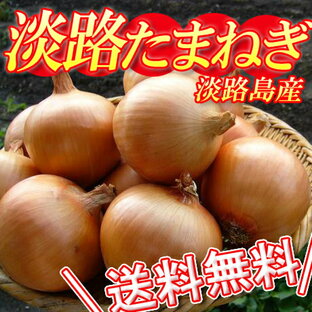 【淡路島 たまねぎ 5kg】【有機肥料使用】 淡路 たまねぎ 5kg (淡路島産 たまねぎ 淡路産たまねぎ 淡路島玉ねぎ あわじ タマネギ 淡路島玉葱 淡路産玉ねぎ 淡路 玉ねぎ 兵庫県 名物 淡路島 お取り寄せ グルメ お取り寄せグルメ ギフト 産地直送)の画像