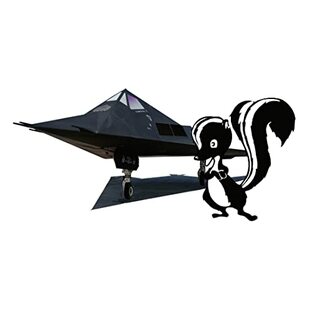 プラッツ 1/144 アメリカ空軍 ステルス戦闘機 F-117 ナイトホーク スカンクワークス プラモデル AE144-15の画像