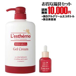 10000円 レステモ 福袋 シルクさん愛用コスメ豪華福袋 送料無料 美白ゲルクリームエコボトルセット500g＋美白美容液の画像