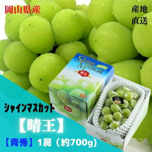 【産直品】ぶどう シャインマスカット晴王 【青秀】 1房(約700g)  「 岡山県産」JA全農おかやまの画像