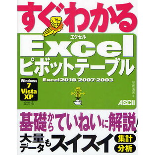 すぐわかるExcelピボットテーブル Excel2010の画像