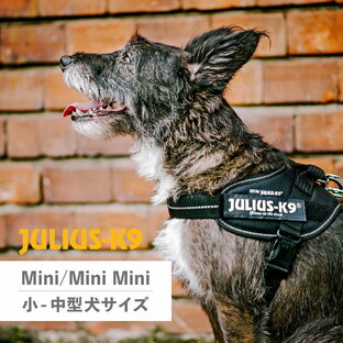 ユリウスK9 ハーネス IDCパワーハーネス ベルト 小型犬 中型犬 ユリウスケーナイン 胴輪 歩行補助 Julius-K9の画像