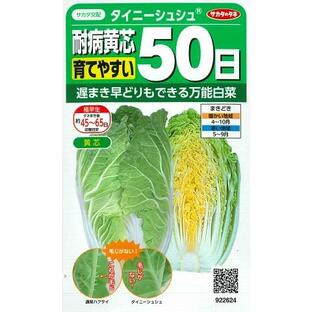 【ミニ白菜】タイニーシュシュ 耐病黄芯育てやすい極早生【サカタ交配】（2.2ml）ハクサイ野菜種/サカタのタネ(922624)の画像