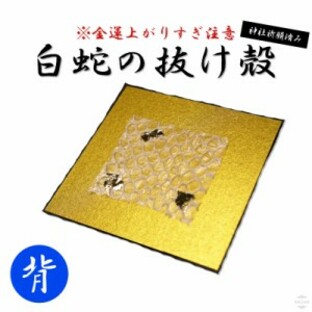 白蛇 背部 抜け殻 白ヘビ 開運 金運アップ 祈願済み 白へび 蛇 抜殻 縁起物 本物 宝くじ 金運 開運 お金 金 浄化 脱け殻 祈願 神社 財布の画像