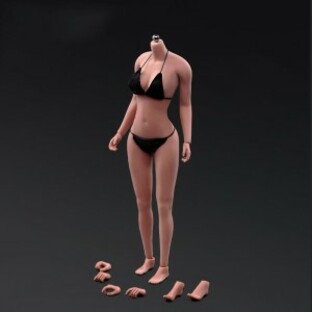 1/6スケール素体 美?K的な肌色女性アクションフィギュトスキンボディ大きな胸付き12インチモデルセット人形おもちゃフィット1/6ヘッドカの画像