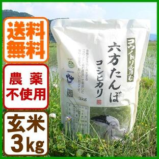 玄米 農薬不使用 コシヒカリ 3kg こうのとり米 令和5年産 送料無料 兵庫県産の画像