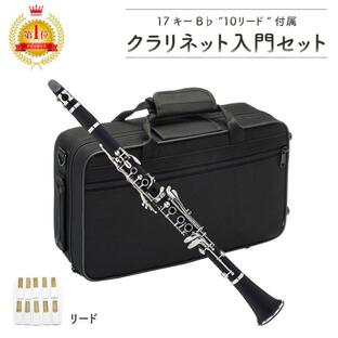 クラリネット 17キー B stillgreen 管楽器 ABS樹脂 ケース付 10リード 管体 日本語説明書の画像