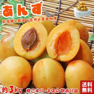 生あんず 約3kg 訳あり 長野県産 甘酸っぱく濃厚な味わいの生あんず 杏 杏子 すもも プラムの画像